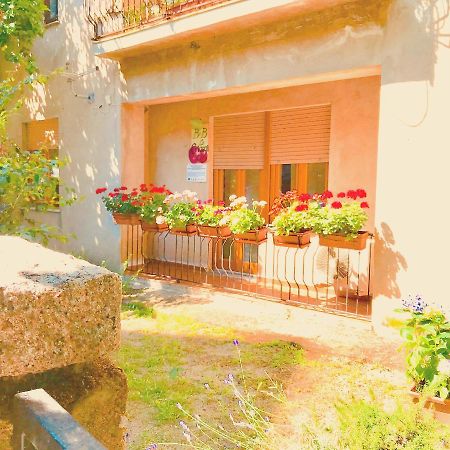 Gallura Experiences Li Criasgi Aggius Ngoại thất bức ảnh